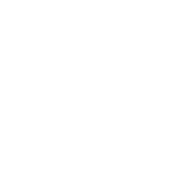 Professional Services & Consulting